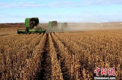 农业农村部：今年全国大豆播种面积预计超过1.3亿亩