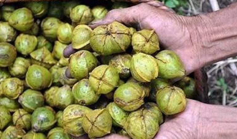 购置年货时, 别只会买瓜子! 正月初一摆上这“3种”, 好吃有面儿