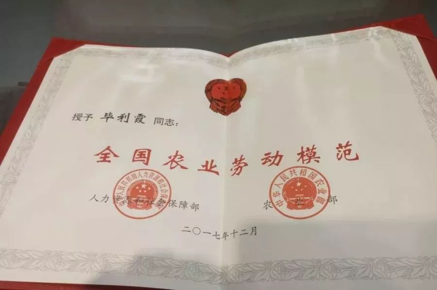 明明可以做个美美哒女教师，她却非要开着拖拉机去种田