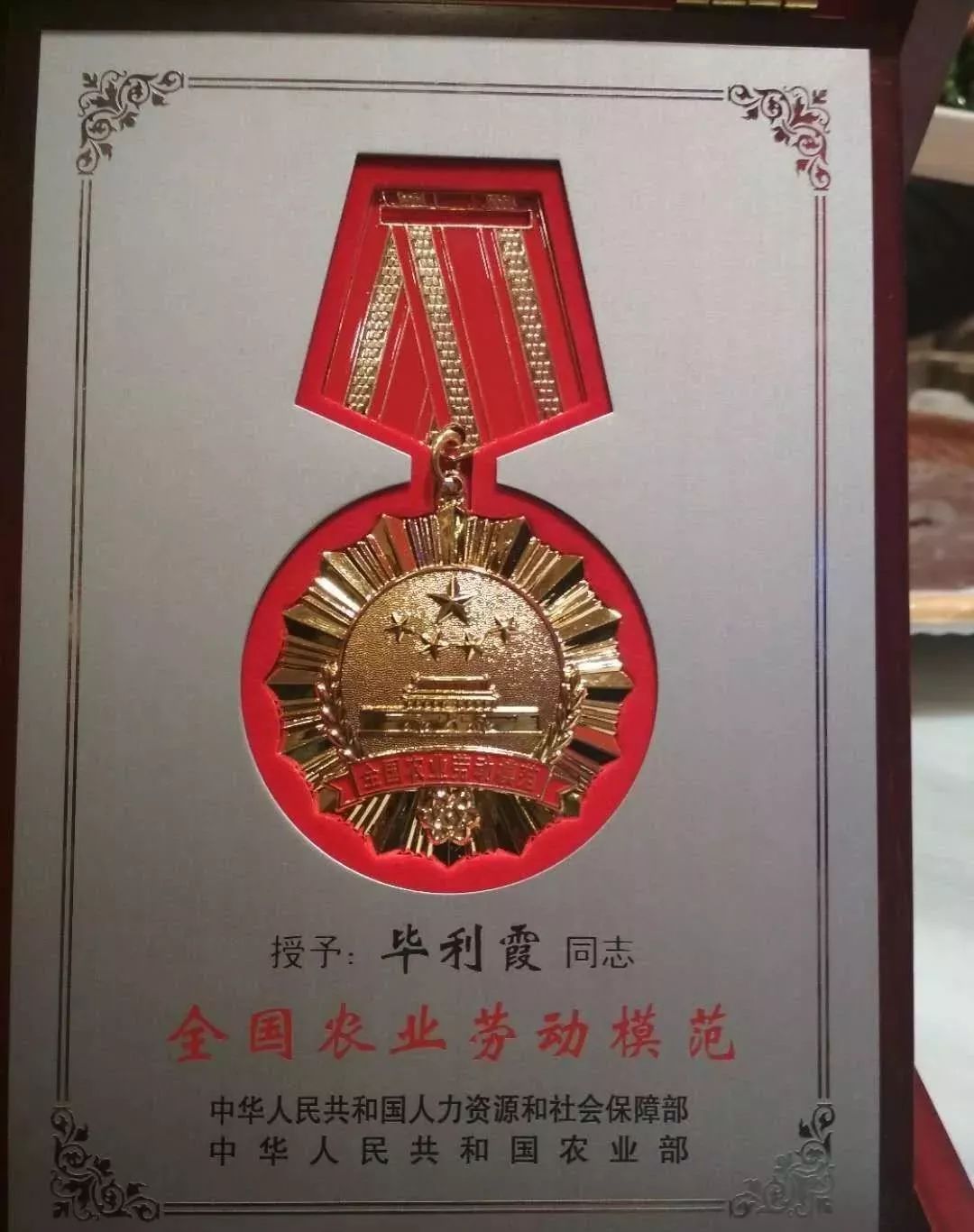 明明可以做个美美哒女教师，她却非要开着拖拉机去种田