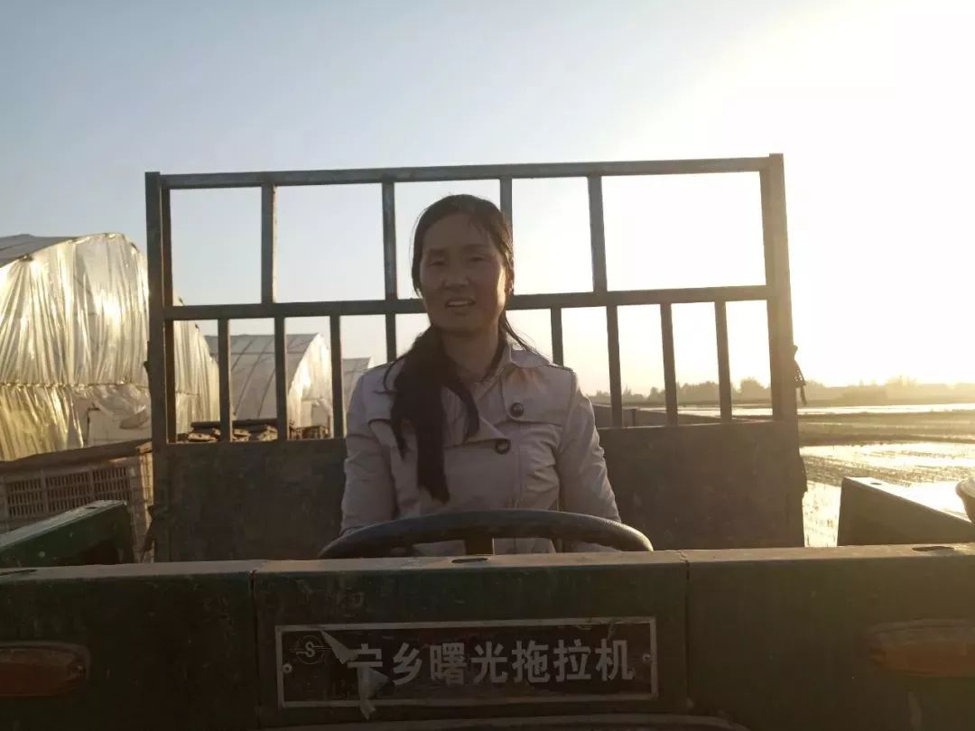 明明可以做个美美哒女教师，她却非要开着拖拉机去种田