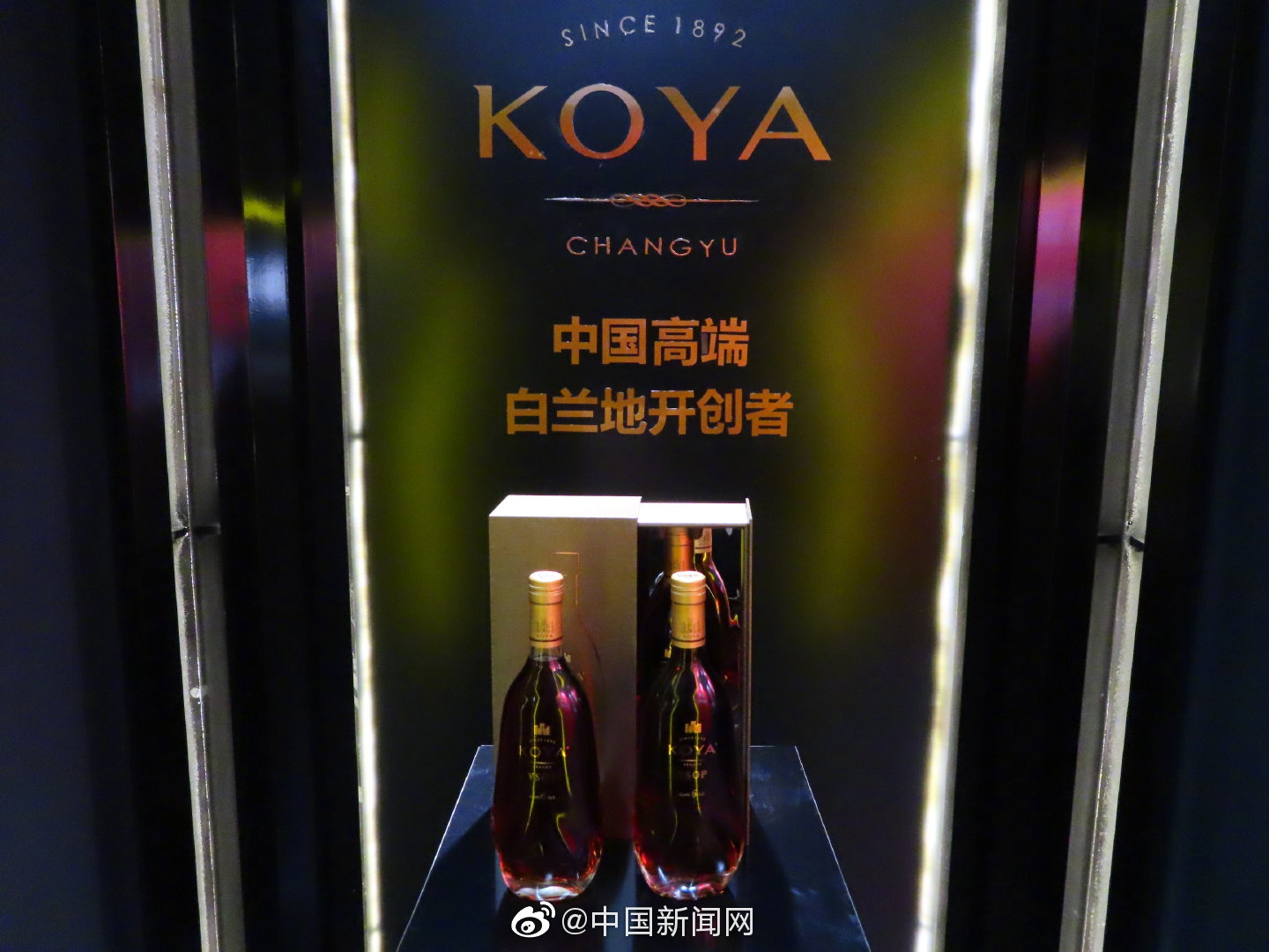 烟台酒博会开幕啦，看看高颜值葡萄酒都长什么样