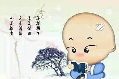 数码组合中的深思熟虑磁场