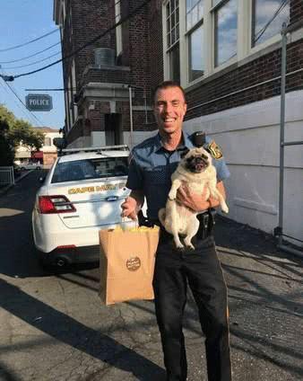 主人花一袋饼干保释巴哥,网友:“狗狗犯了什么罪?”