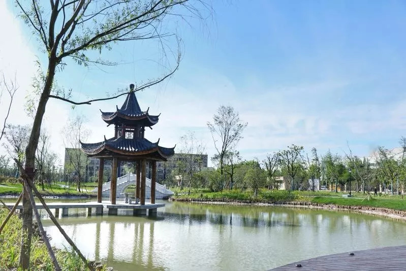 网友实地参观海盐绿能环保项目：又一次刷新了对垃圾焚烧厂的认知！