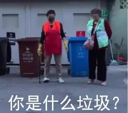 你是什么垃圾？90后美女收废品10年，因为科普这个问题火了！