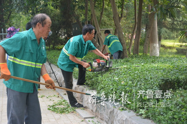 开发区园林工人修剪苗木，为“创城”添彩
