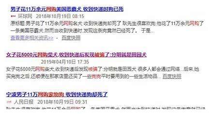 女子1600元网购泰迪，怀疑血统不纯，结果联合媒体一起退货！