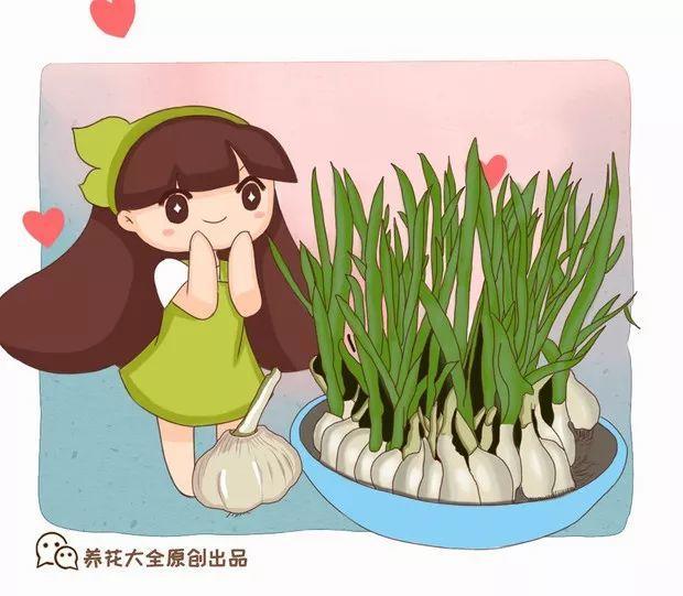 20种灭虫大法，不用打药还环保，叶子油绿没有黑点了！