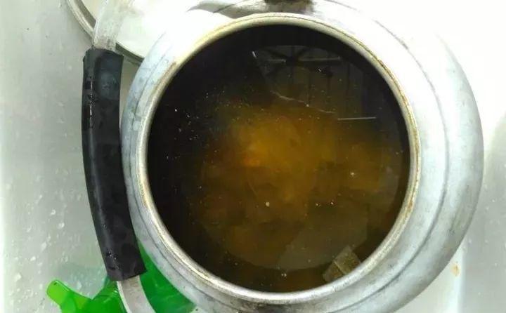 20种灭虫大法，不用打药还环保，叶子油绿没有黑点了！