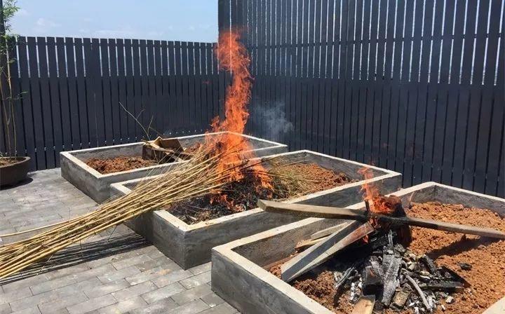 20种灭虫大法，不用打药还环保，叶子油绿没有黑点了！