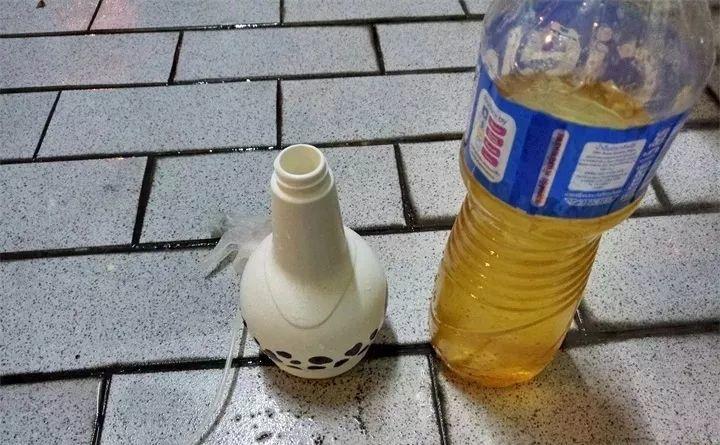 20种灭虫大法，不用打药还环保，叶子油绿没有黑点了！
