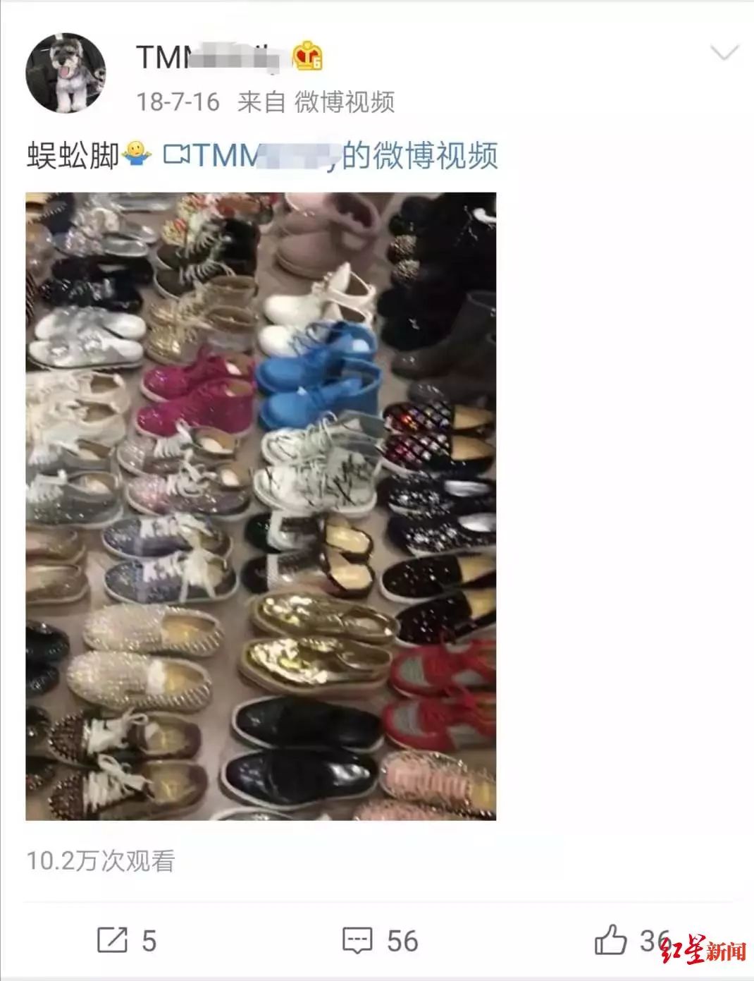 23岁女子醉驾玛莎拉蒂致2死4伤！3名嫌疑人被控制，疑似当事人微博曝光