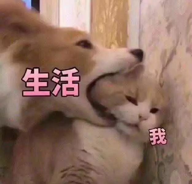 广州中小学暑假安排来了！语数英乐器游泳之外，最重要的是这几个……