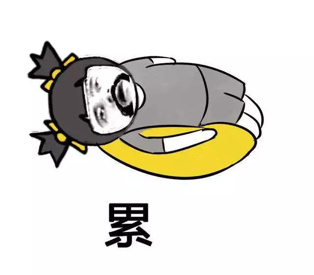 广州中小学暑假安排来了！语数英乐器游泳之外，最重要的是这几个……