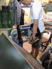 搞笑GIF：买个别墅、游艇啥的，不用跟谁借