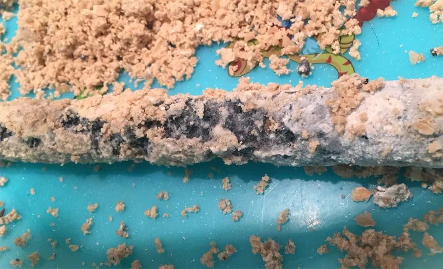 热水器里有个小东西，不注意更换一个月耗电1000度！