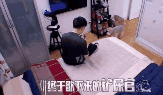 杨迪住的房子也太搞笑了，面积太小了，连家具都要买“缩水版”