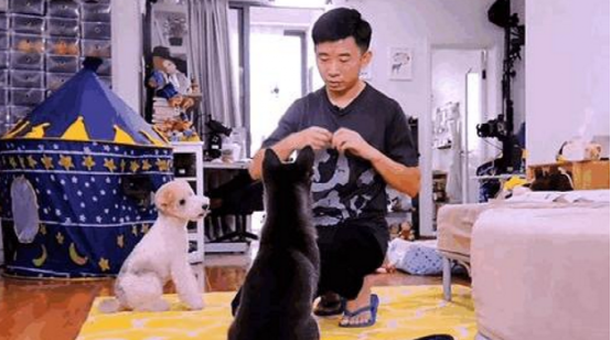 杨迪住的房子也太搞笑了，面积太小了，连家具都要买“缩水版”