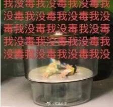 神反转！泡泡玛特产品甲醛并未超标，背后“肇事者”竟是网红甲醛检测仪