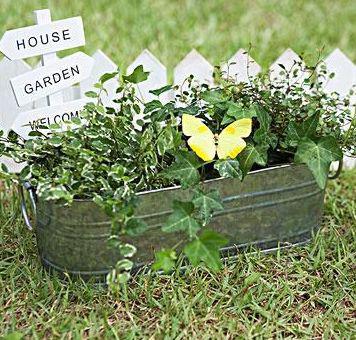 废弃报纸不要扔,养护植物有妙招,轻松爆盆还开花!