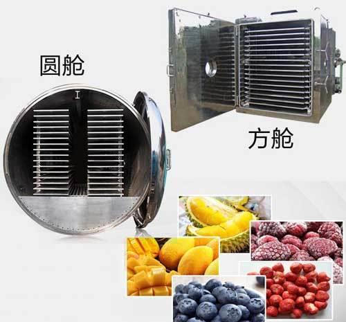 真空冷冻干燥机的冻干系统