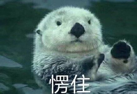 儿子收到妈妈被绑架视频, 只穿内衣, 嘴贴黑胶, 五花大绑! 真相惊掉下巴！