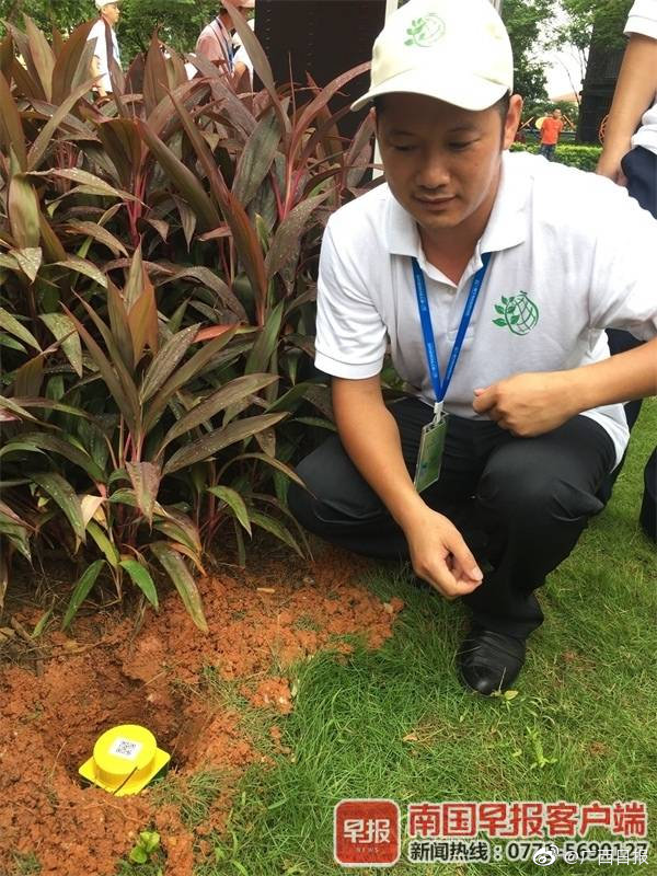 南宁试点安装1万套“绿盒子”，实时监控白蚁