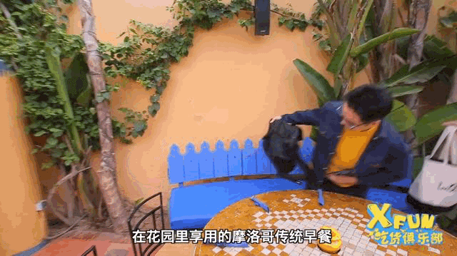 北非古堡惊魂,上千只蜜蜂和你共进早餐是一种什么体验?