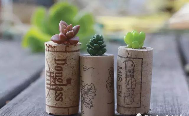 葡萄酒木塞究竟带有哪些秘密