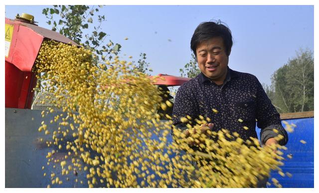 分享农业小技巧，夏大豆不空不秕，每亩增产15%，农民早学早受益