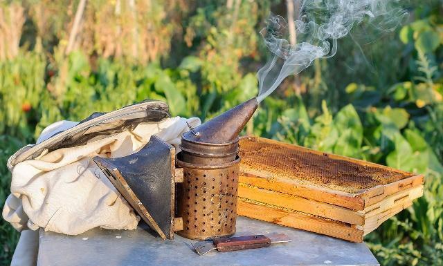 给蜜蜂饲喂白糖,蜂群能快速产蜜吗?老蜂农:科学饲喂才合适