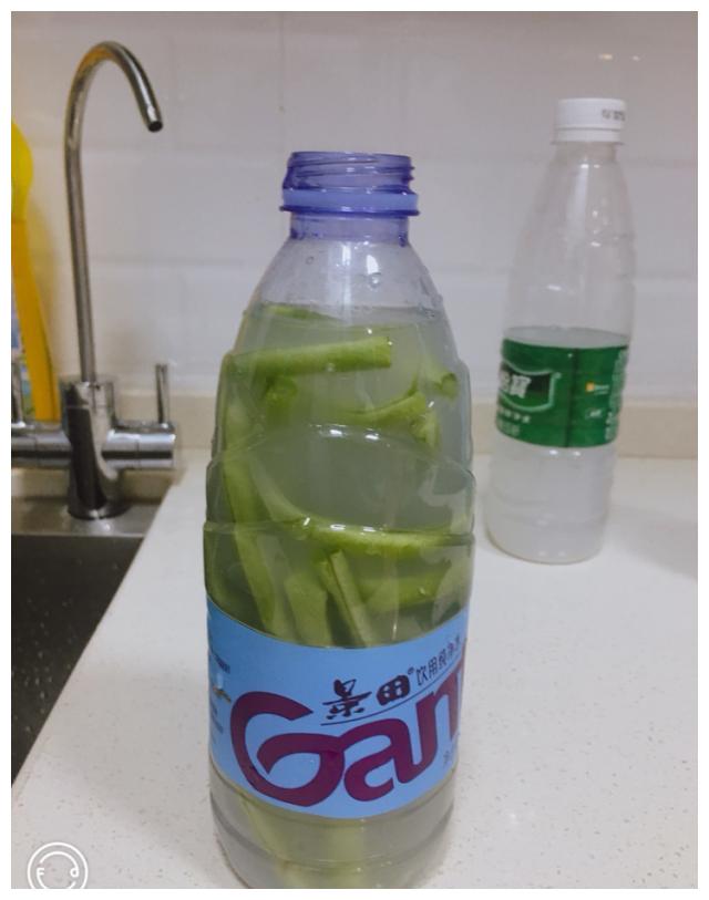 在家用淘米水自制酸豆角，零添加剂，酸豆角炒肉末，下饭超级棒