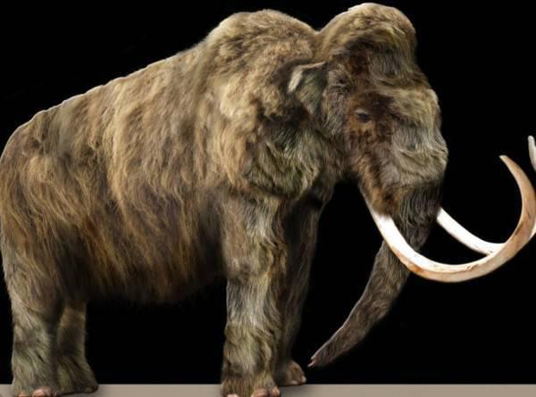 历史上你会庆幸灭绝的5种动物,鲸鱼在第一种面前就像一块饼干!