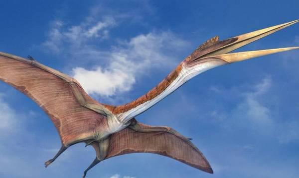 历史上你会庆幸灭绝的5种动物,鲸鱼在第一种面前就像一块饼干!