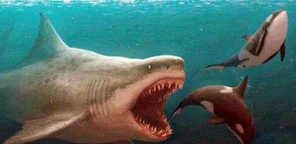 历史上你会庆幸灭绝的5种动物,鲸鱼在第一种面前就像一块饼干!