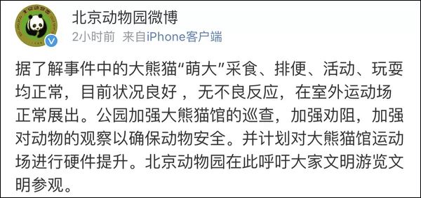 北京动物园有游客向熊猫扔石头,网友建议改善场馆硬件设施
