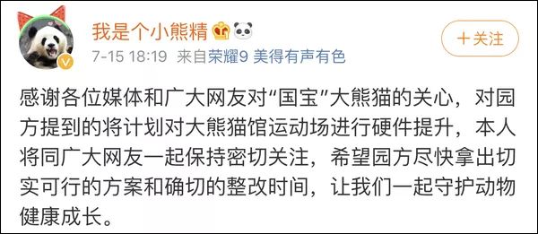 北京动物园有游客向熊猫扔石头,网友建议改善场馆硬件设施