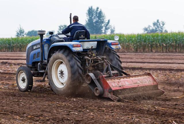 农村违建“一刀切”:设施不让造,农业无发展?实际情况是这样的