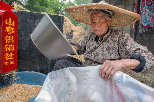 农村违建“一刀切”:设施不让造,农业无发展?实际情况是这样的