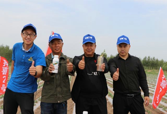 东北黑土地老农用拌喜2号种花生灾年也丰收 全村推广3万亩