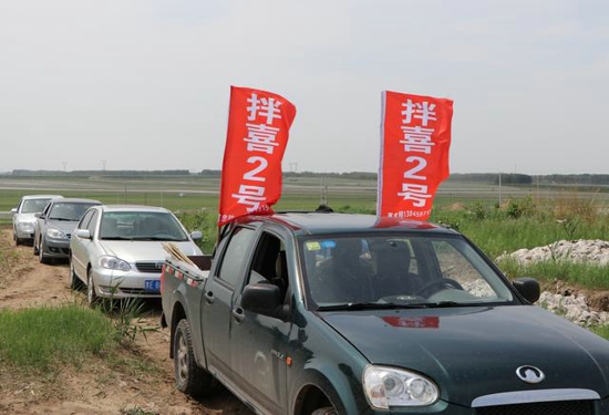 东北黑土地老农用拌喜2号种花生灾年也丰收 全村推广3万亩