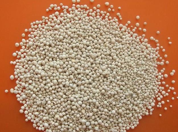 君子兰花语和寓意是什么呢？日常又该如何养护？!