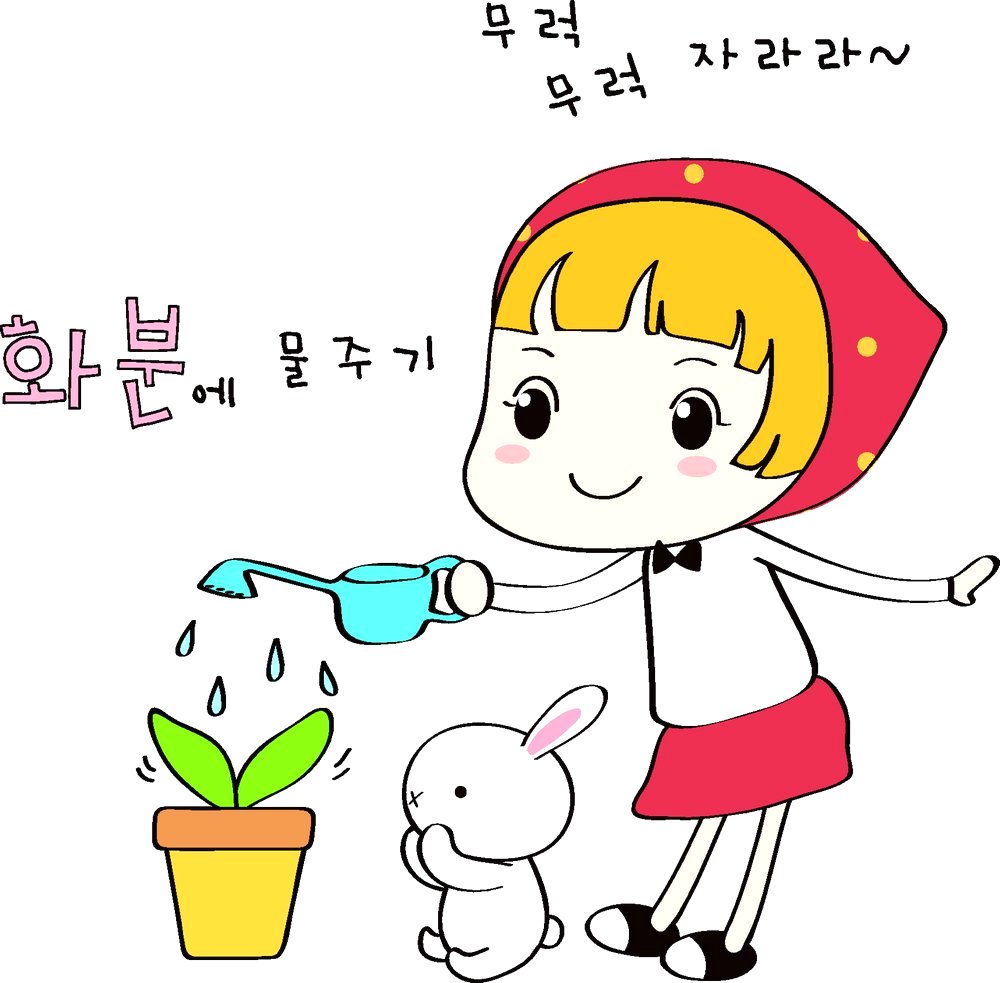 君子兰花语和寓意是什么呢？日常又该如何养护？!