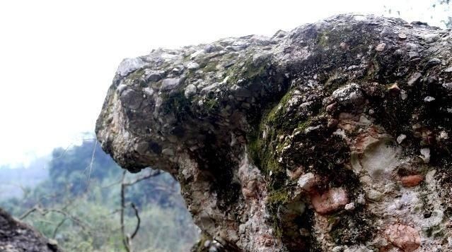 湖北省资讯｜湖北宜昌：怪石如雕塑在森林排一路，有点吓人