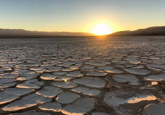 世界最干燥的地区，500年没下雨，突降3场雨后为何生物灭绝？