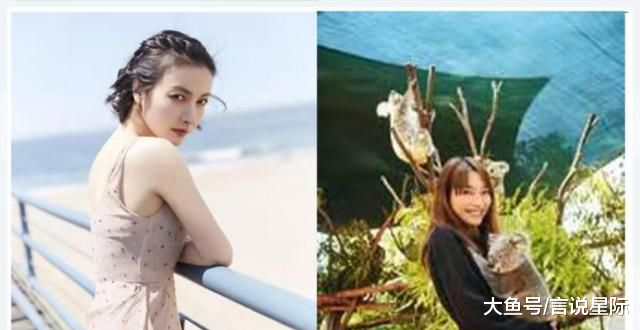 杨幂网购没有不买的，王菲只要网购就不逛街，原来明星也是剁手党
