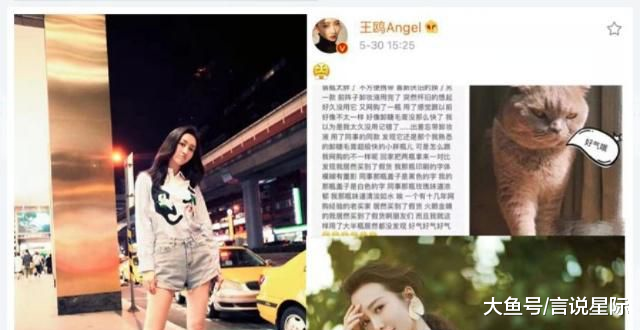 杨幂网购没有不买的，王菲只要网购就不逛街，原来明星也是剁手党
