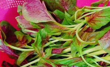 女人常吃“它”,美容又养颜,一个月更是省下不少化妆品钱!