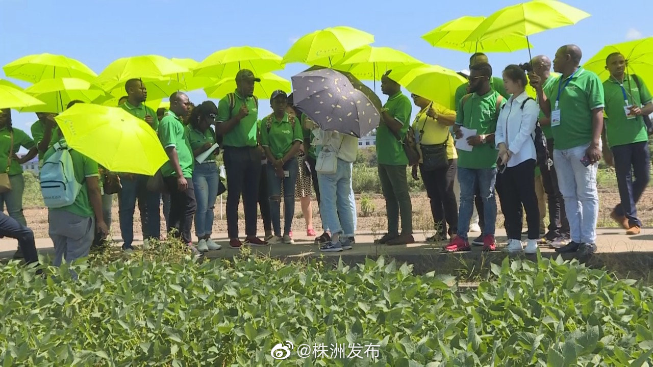 29名非洲友人来株洲学习大豆种植技术。8月3日